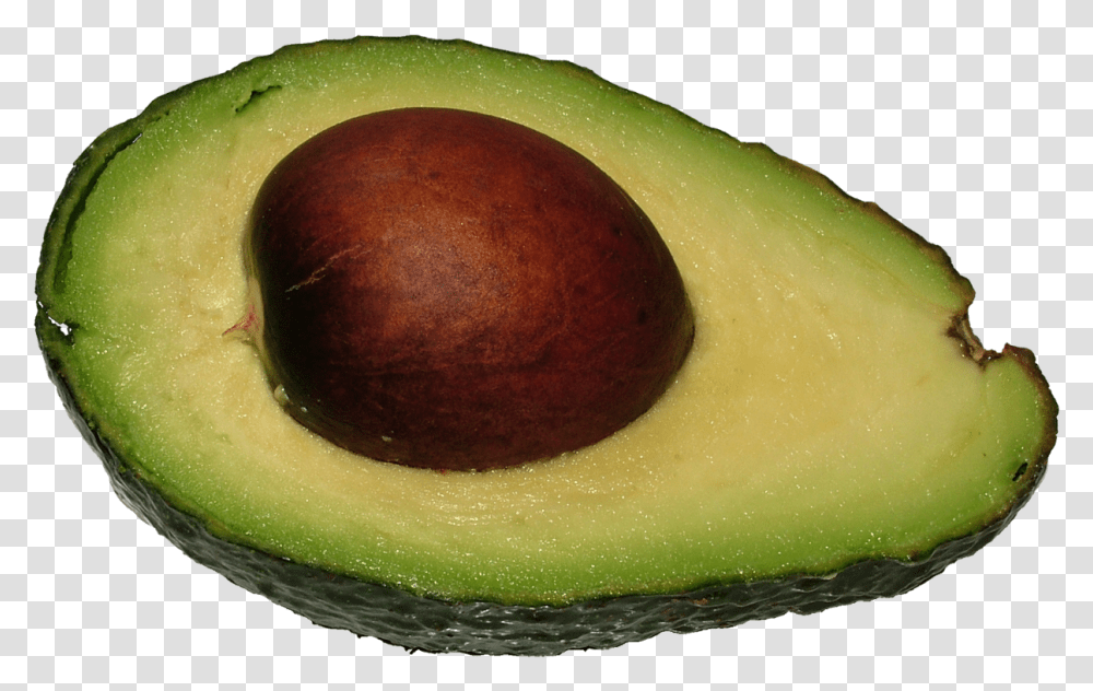 Detail Avocado No Background Nomer 31