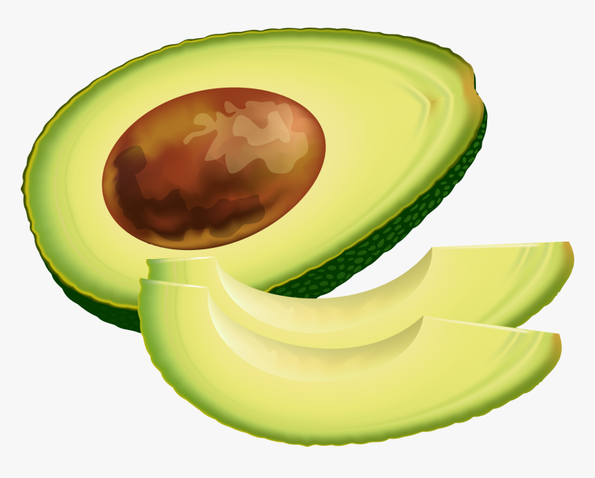 Detail Avocado No Background Nomer 32