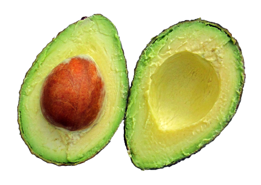 Detail Avocado No Background Nomer 34