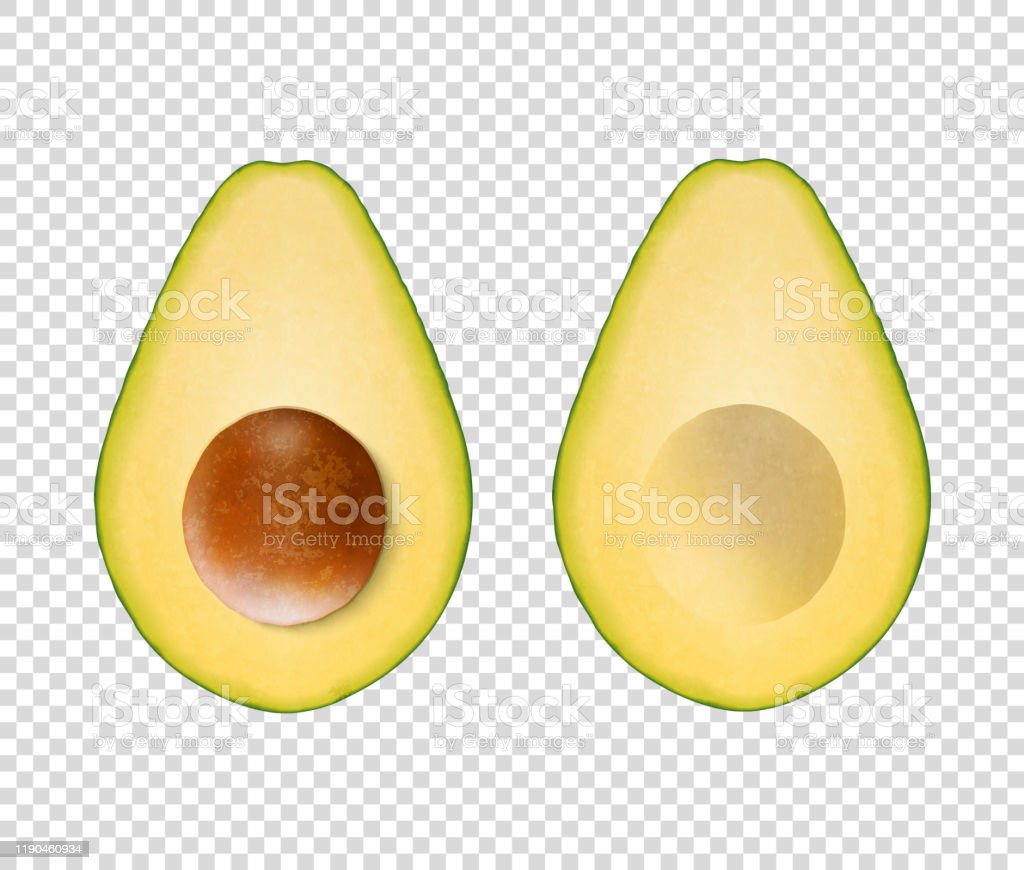 Detail Avocado No Background Nomer 46