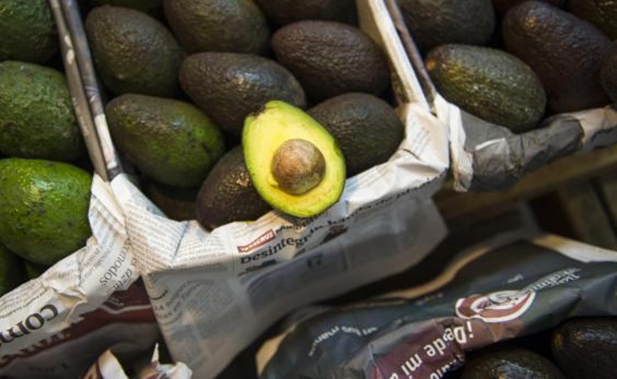 Detail Avocado Stapler Nomer 58