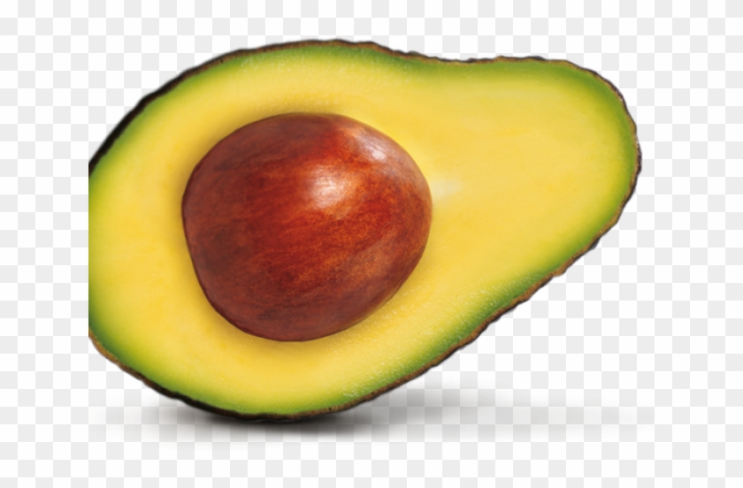 Detail Avocado Transparent Nomer 15