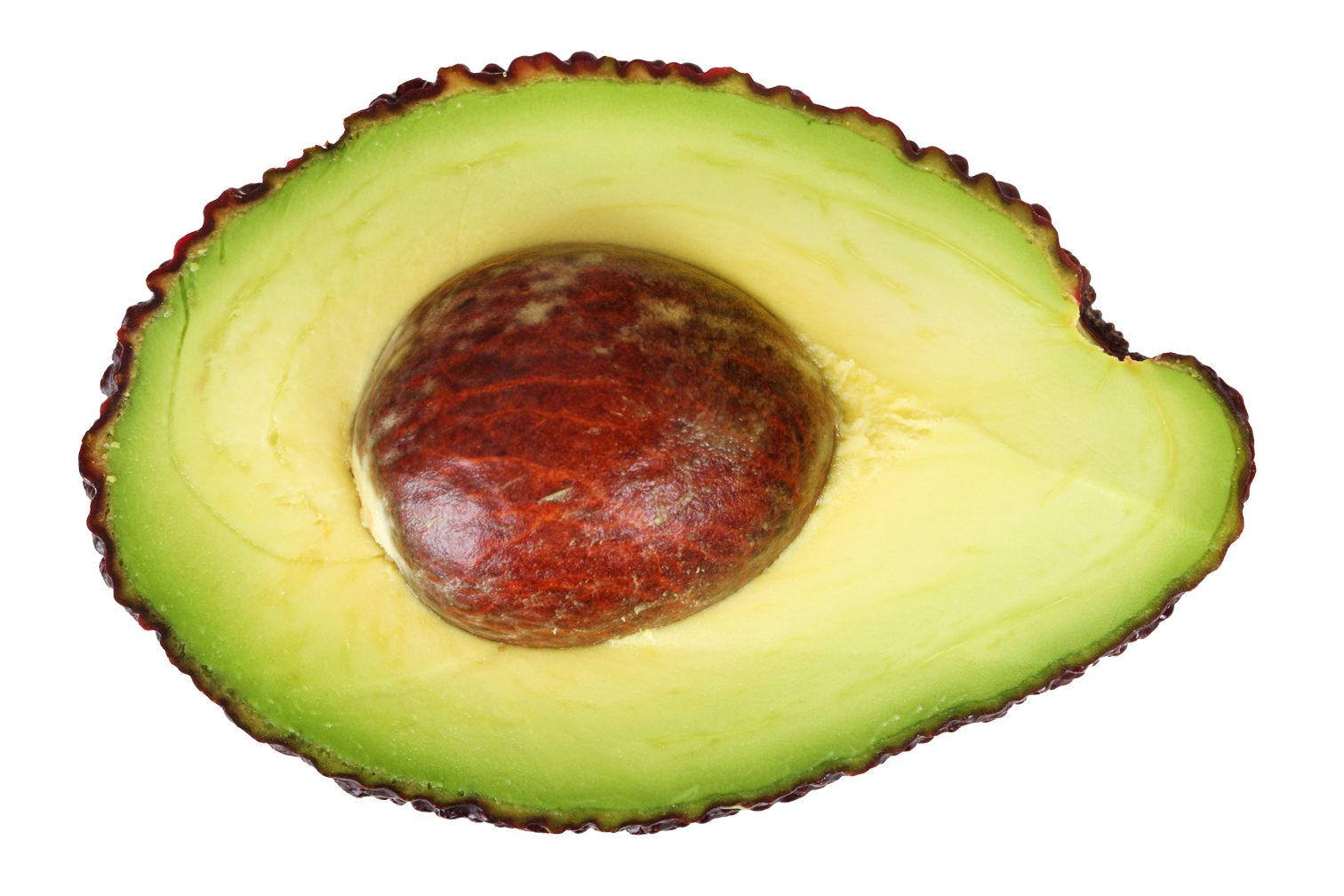 Detail Avocado Transparent Nomer 22
