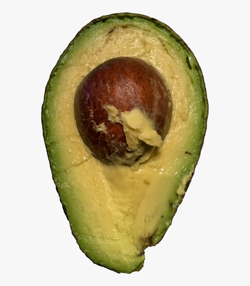 Detail Avocado Transparent Nomer 44