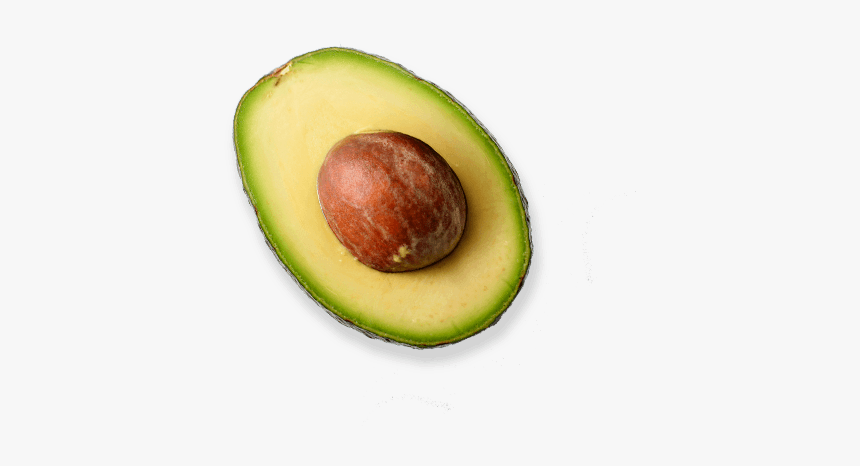 Detail Avocado Transparent Background Nomer 17