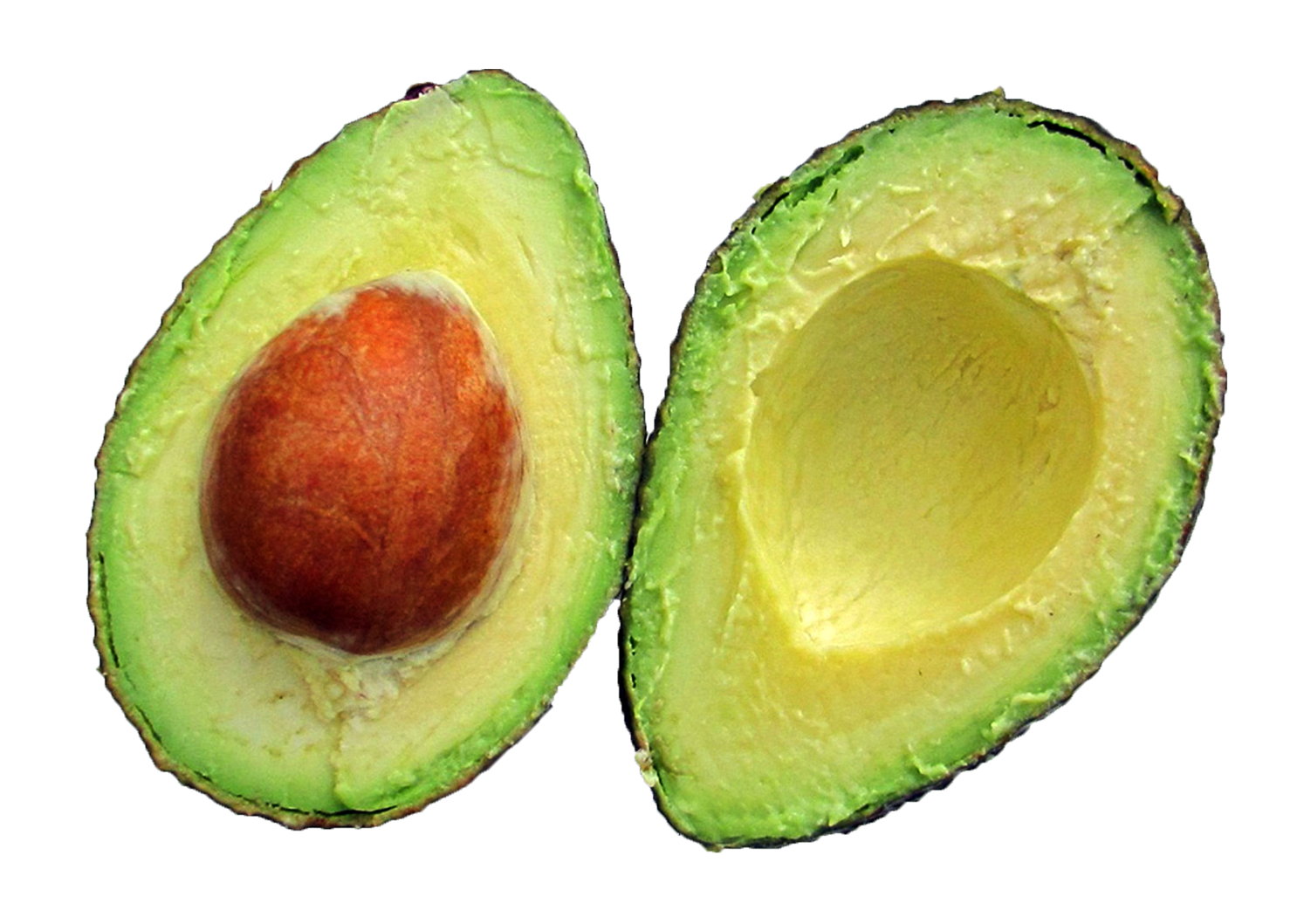 Detail Avocado Transparent Background Nomer 29