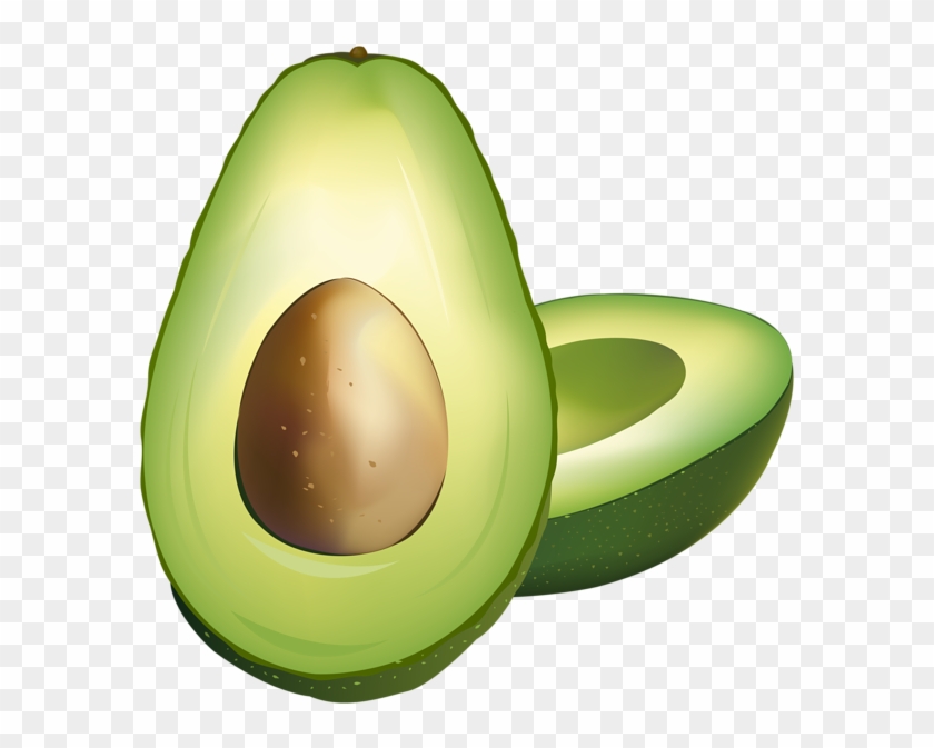 Detail Avocado Transparent Background Nomer 32