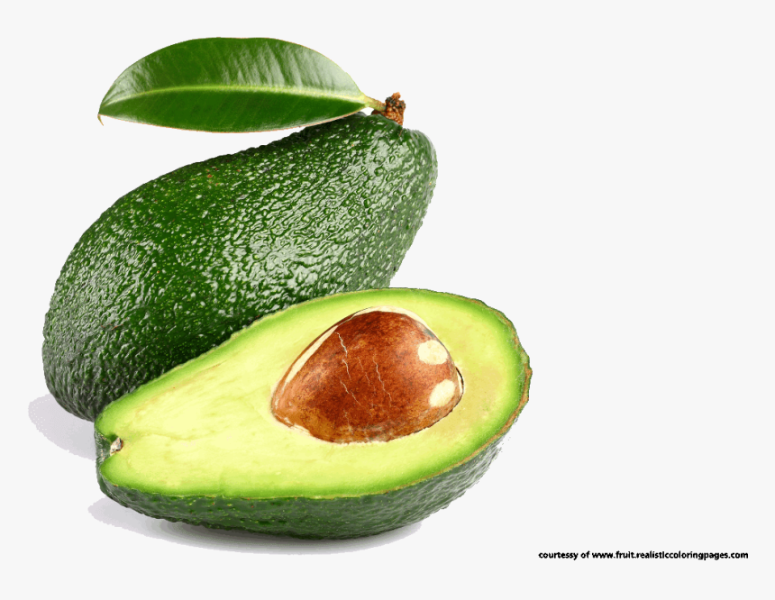 Detail Avocado Transparent Background Nomer 37