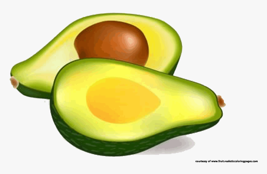 Detail Avocado Transparent Background Nomer 43