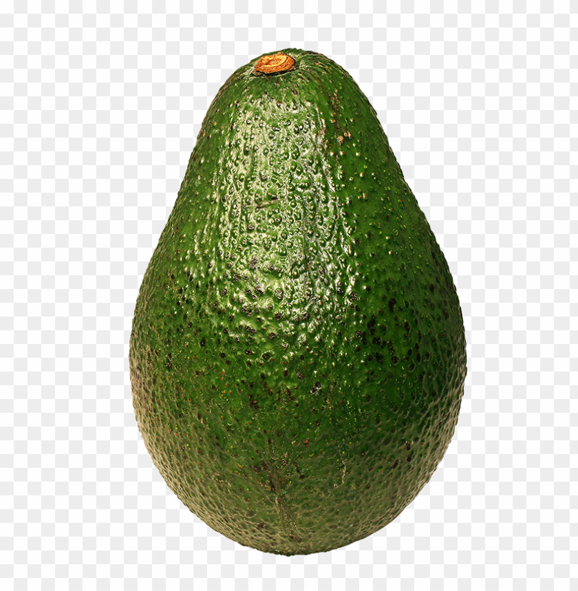 Detail Avocado Transparent Background Nomer 47