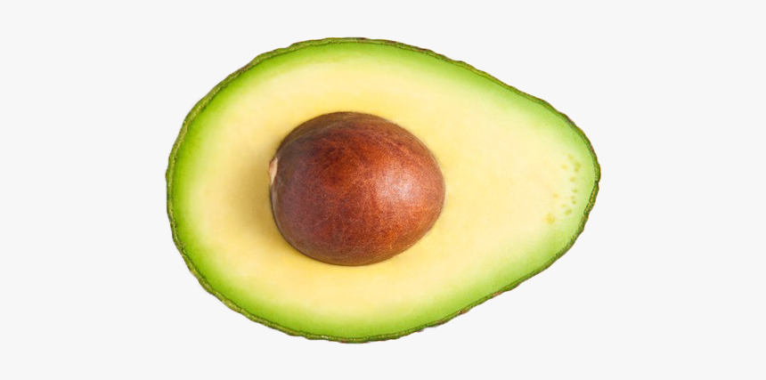 Detail Avocado Transparent Background Nomer 6
