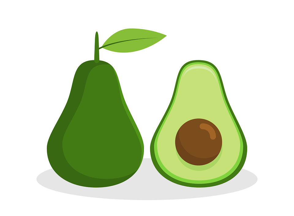 Detail Avocado Vector Png Nomer 13