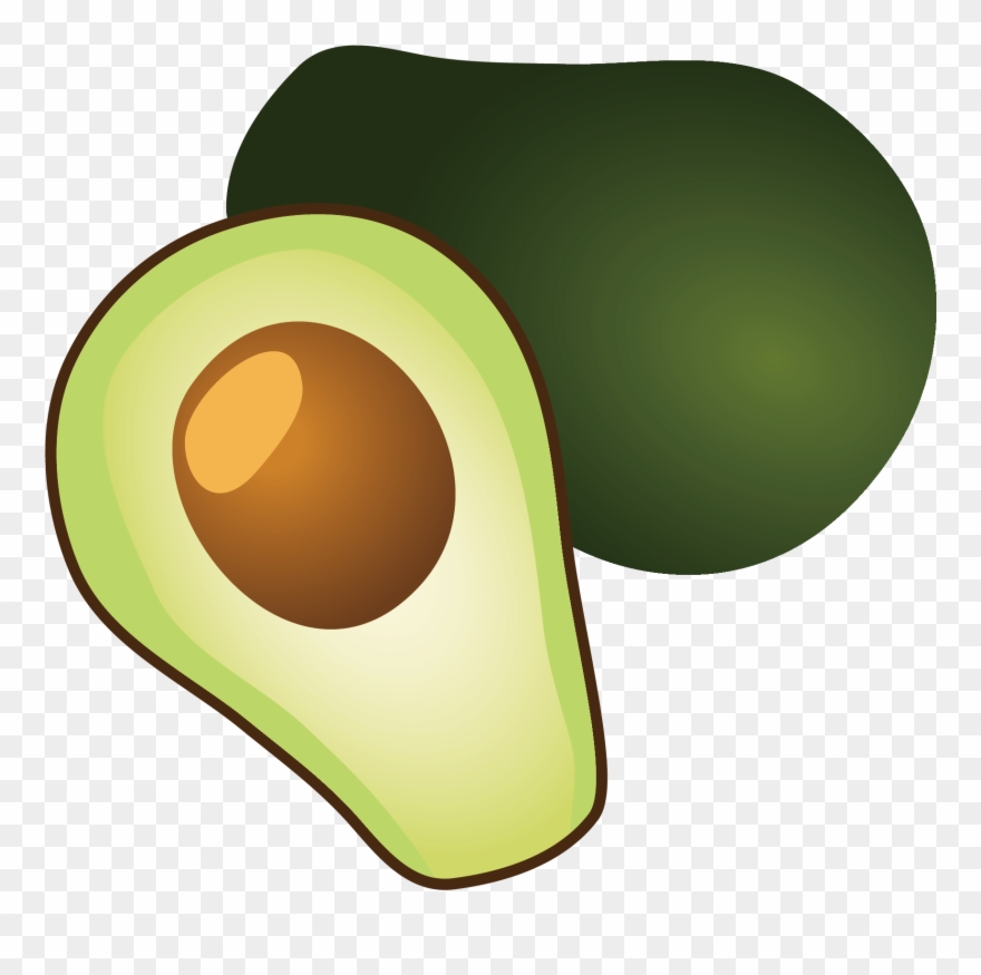 Detail Avocado Vector Png Nomer 14