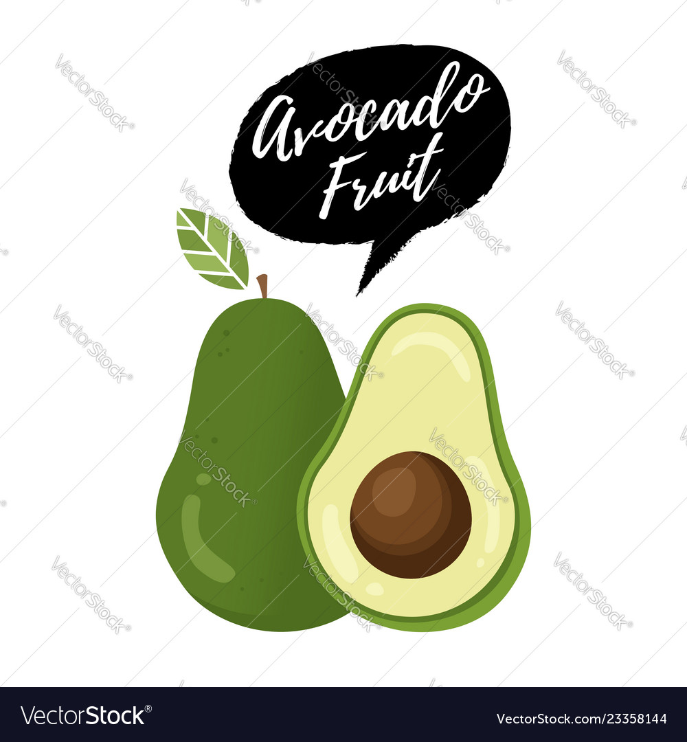 Detail Avocado Vector Png Nomer 18