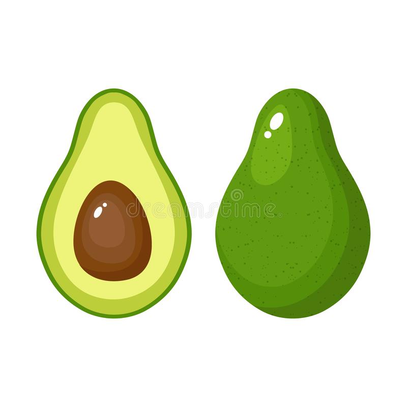 Detail Avocado Vector Png Nomer 23