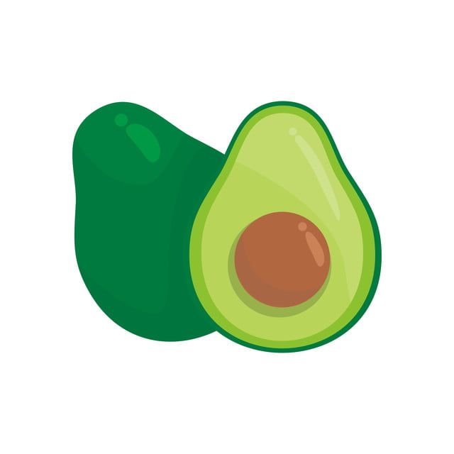 Detail Avocado Vector Png Nomer 27