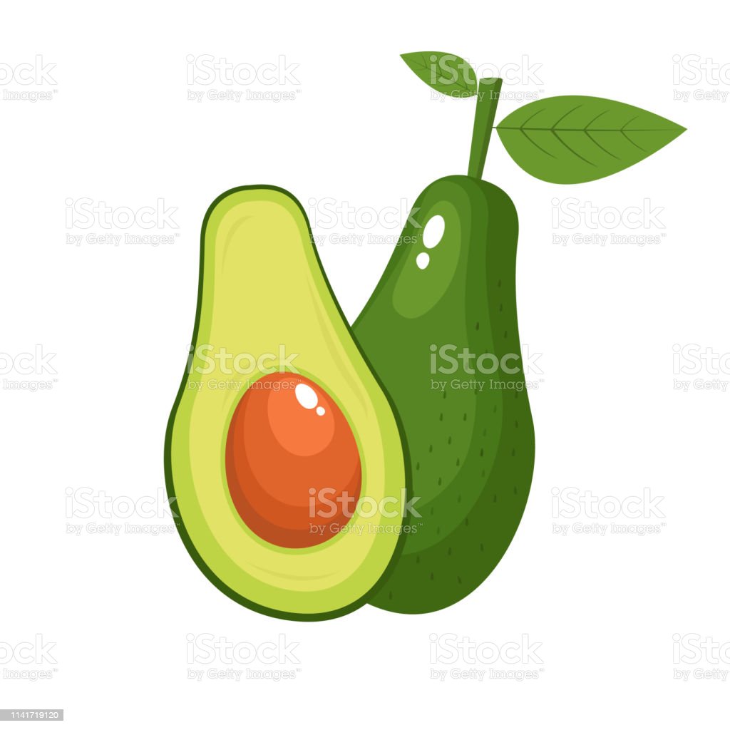 Detail Avocado Vector Png Nomer 34