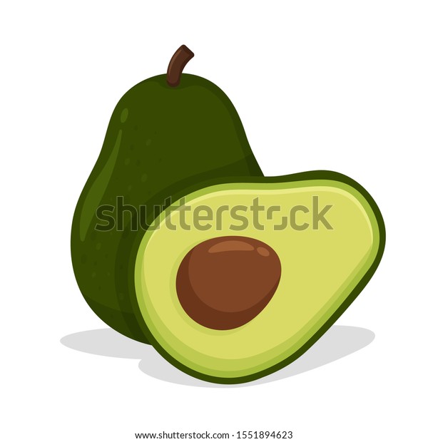 Detail Avocado Vector Png Nomer 38