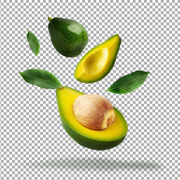 Detail Avocado Vector Png Nomer 41