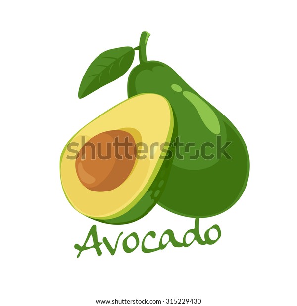 Detail Avocado Vector Png Nomer 45