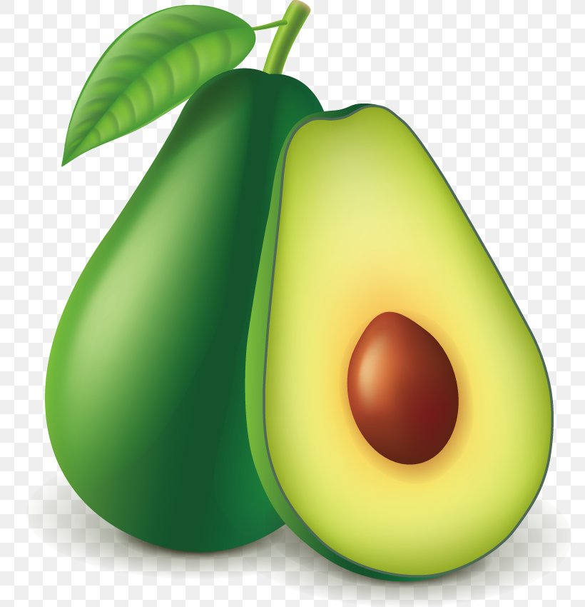 Detail Avocado Vector Png Nomer 9