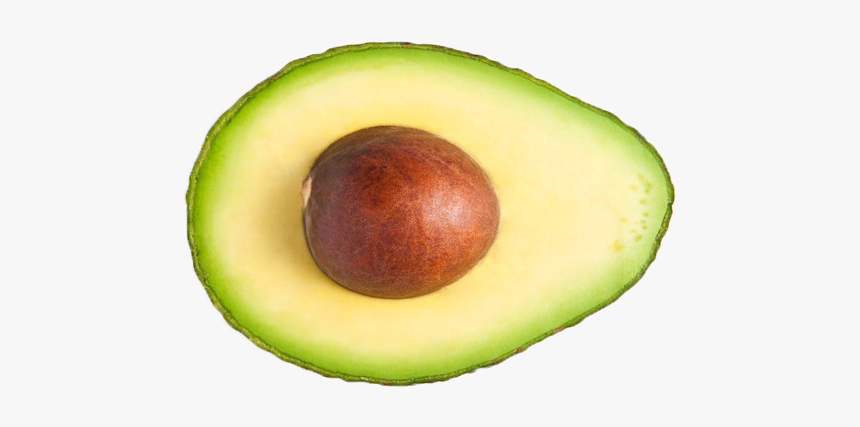 Detail Avocados Png Nomer 20