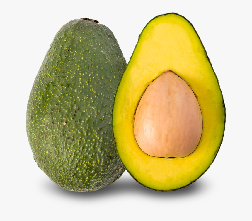 Detail Avocados Png Nomer 31