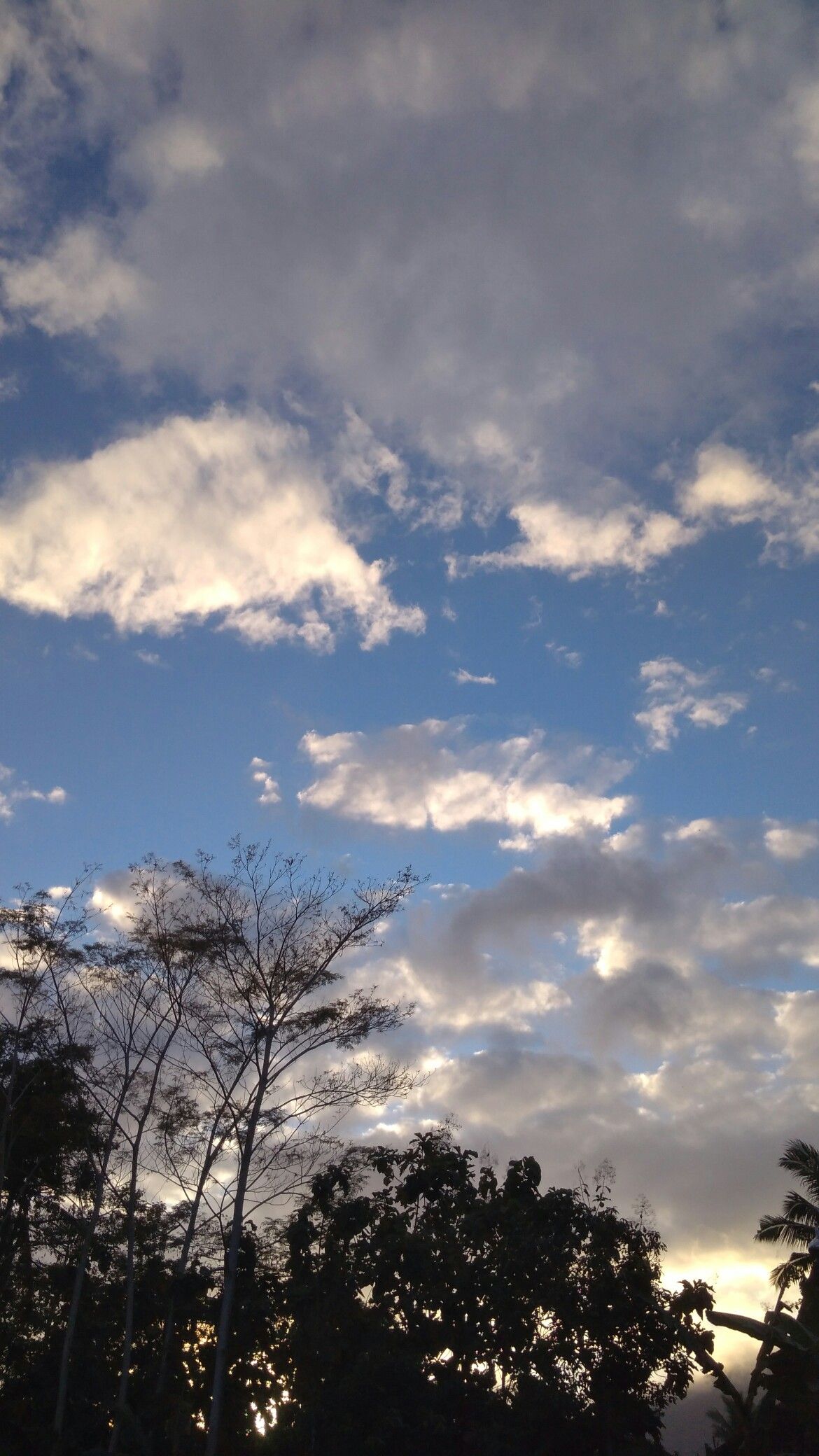 Detail Awan Pagi Hari Nomer 5