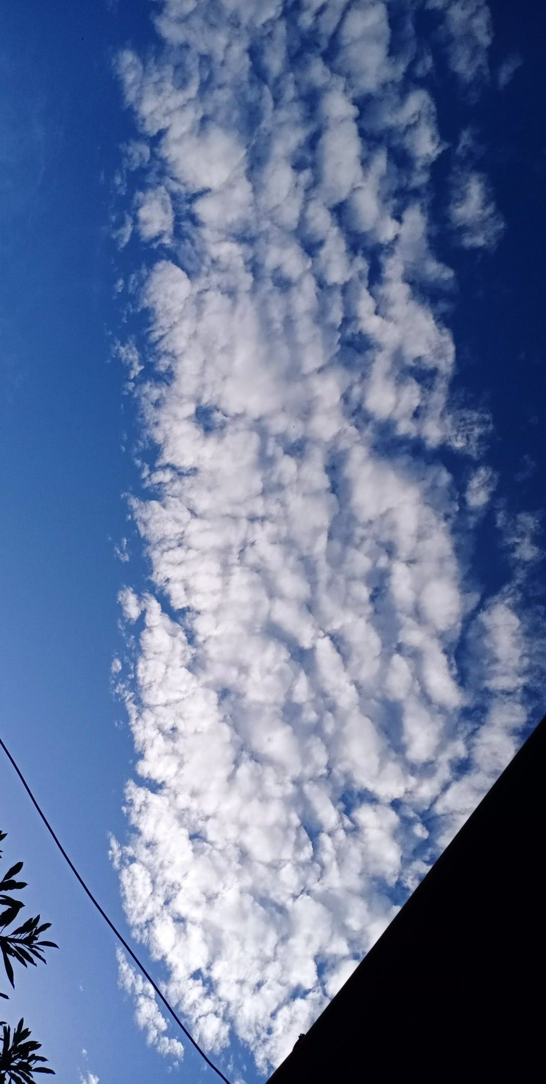 Detail Awan Pagi Hari Nomer 8