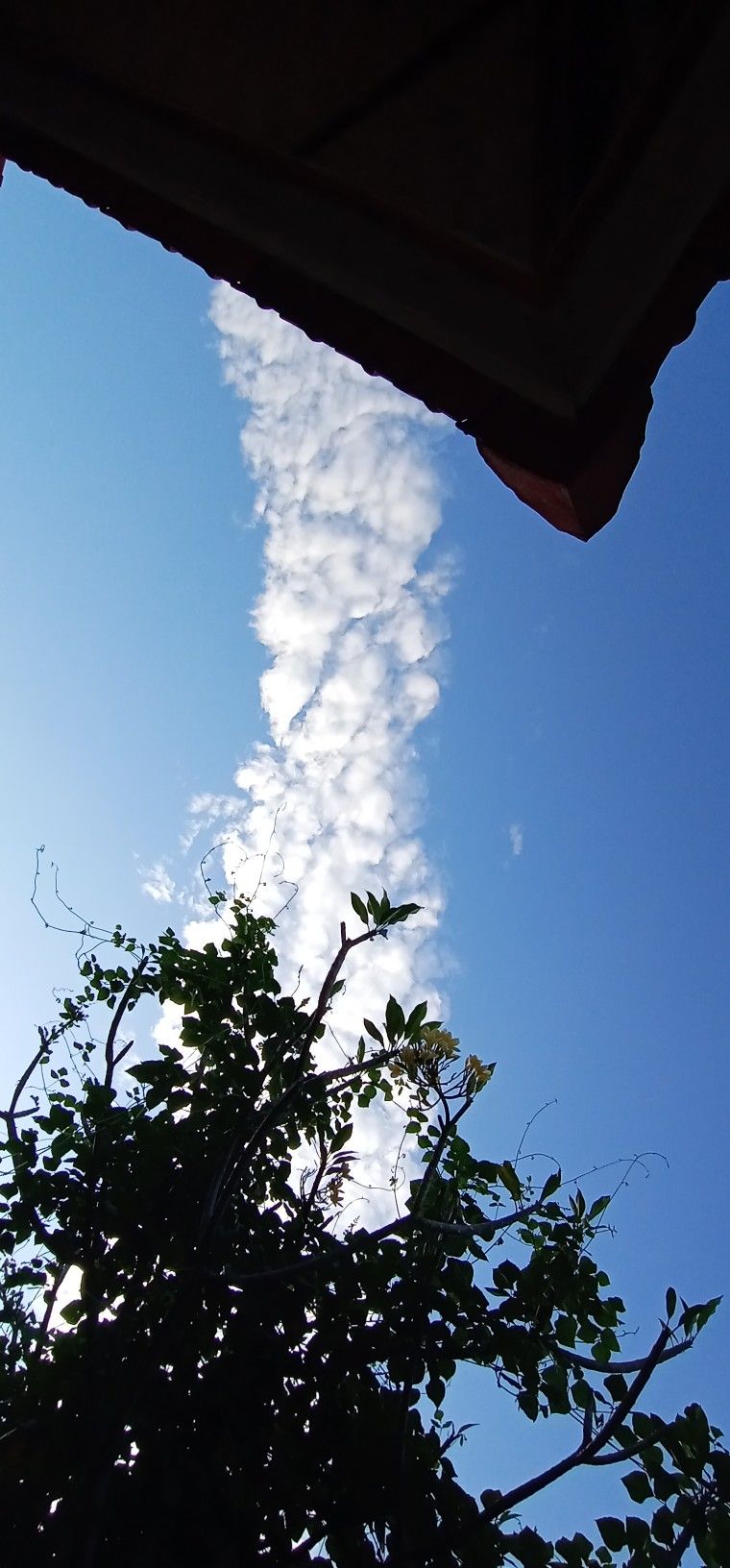 Detail Awan Pagi Hari Nomer 10