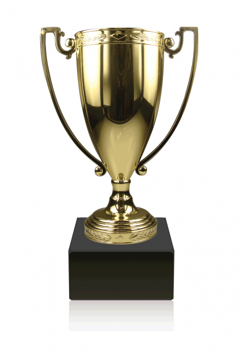 Detail Award Cup Nomer 6