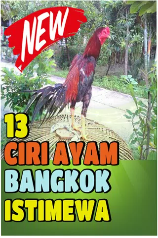 Detail Ayam Aduan Istimewa Nomer 35