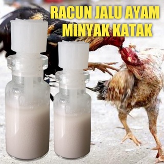 Detail Ayam Bangkok Lucu Nomer 22