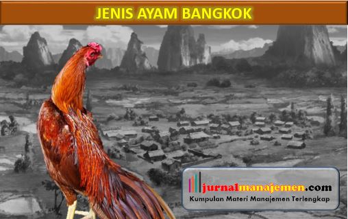 Detail Ayam Bangkok Wiring Geni Nomer 38