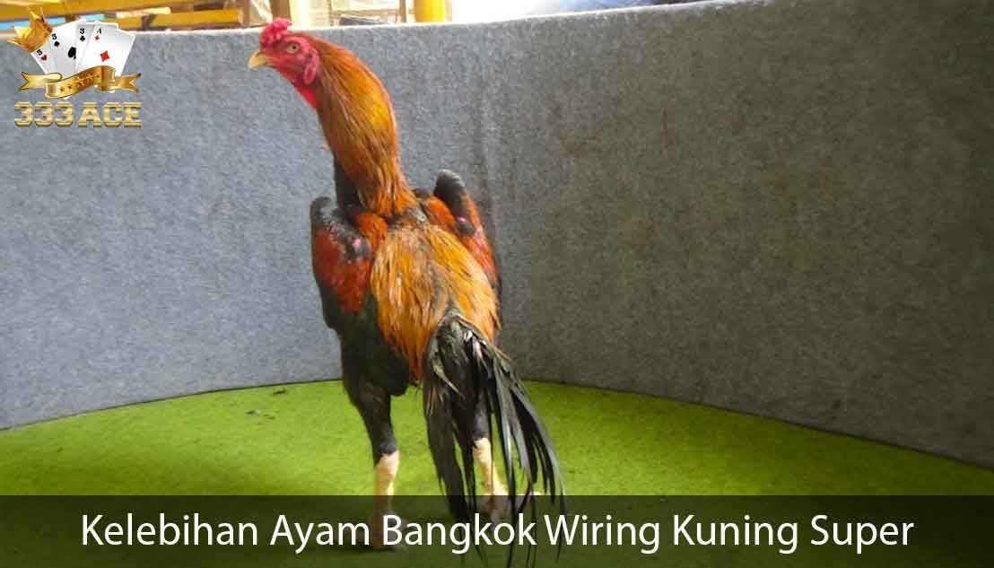 Detail Ayam Bangkok Wiring Kuning Nomer 9
