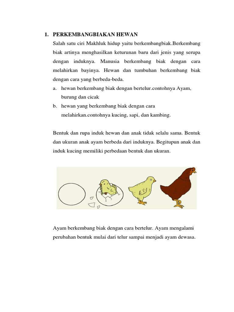 Detail Ayam Berkembang Biak Nomer 50