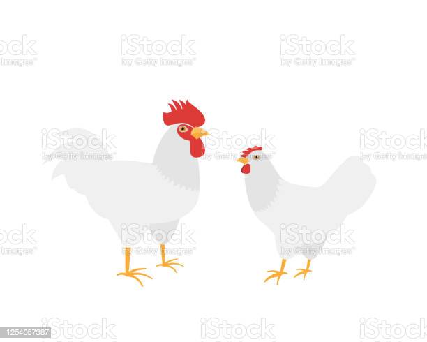 Detail Ayam Berkembang Biak Nomer 51