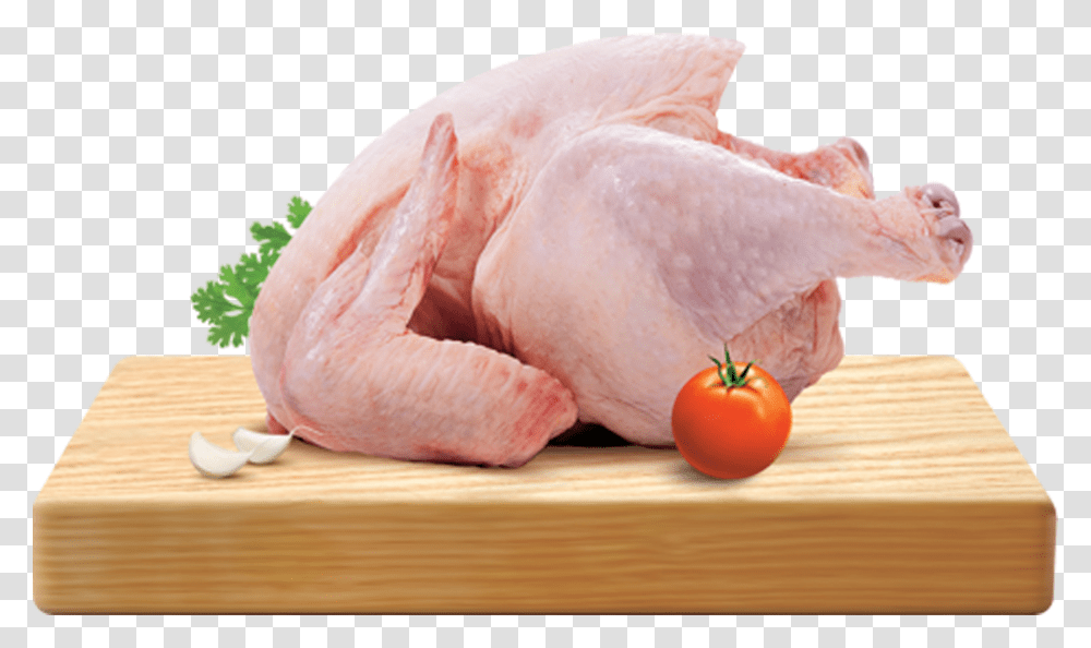 Detail Ayam Broiler Png Nomer 28