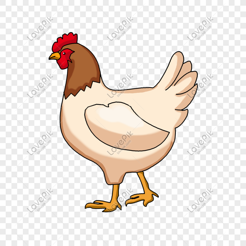 Detail Ayam Cartoon Png Nomer 14