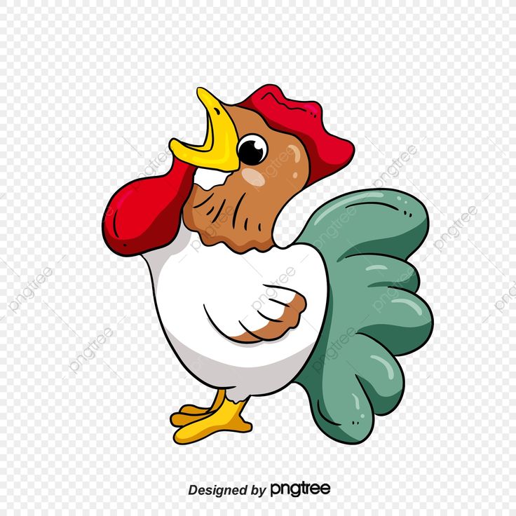 Detail Ayam Cartoon Png Nomer 33