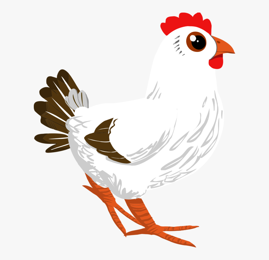 Detail Ayam Clip Art Nomer 4