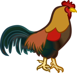 Detail Ayam Clip Art Nomer 45