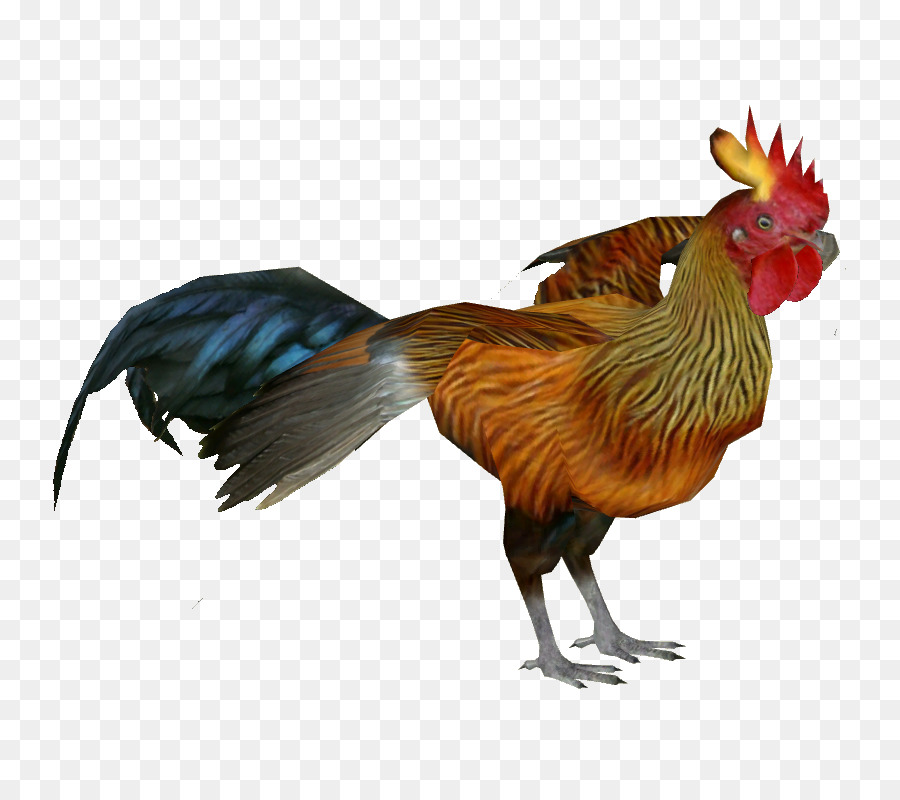 Detail Ayam Hutan Sri Lanka Nomer 29
