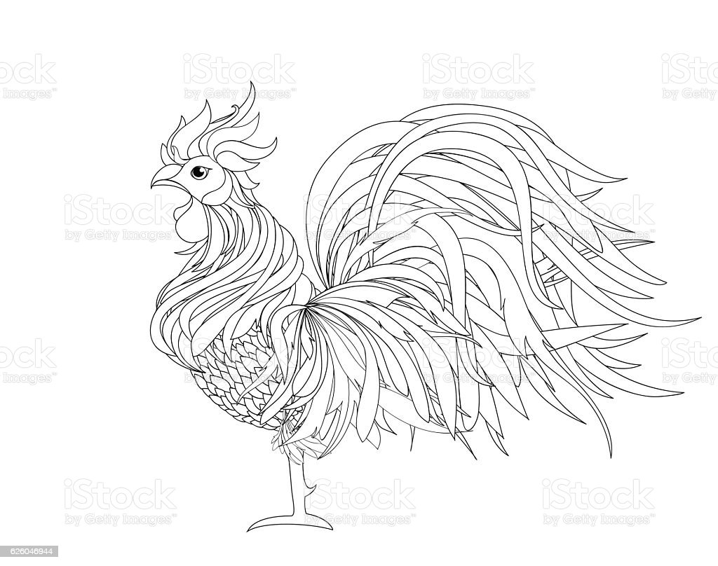 Detail Ayam Jago Hitam Putih Nomer 43