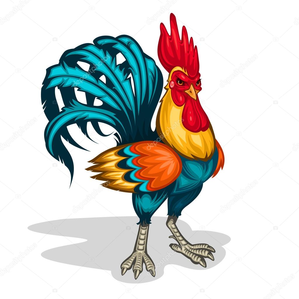 Detail Ayam Jago Vector Nomer 20