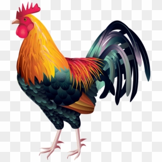 Detail Ayam Jago Vector Nomer 50