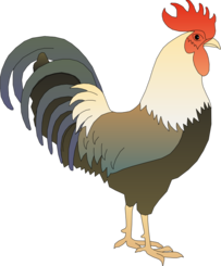 Detail Ayam Jago Vector Png Nomer 20