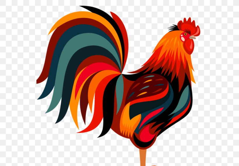 Detail Ayam Jago Vector Png Nomer 48