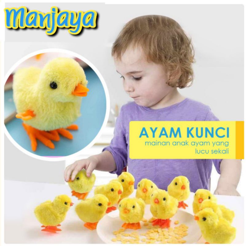 Detail Ayam Lucu Sekali Nomer 26