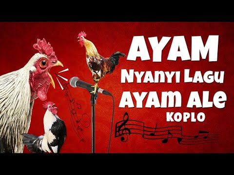 Detail Ayam Lucu Sekali Nomer 32